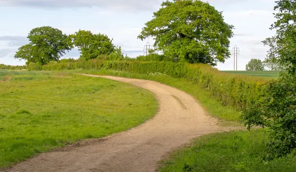 Stanford Rivers Walk, Essex