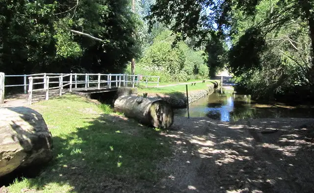 Terling Walks, Essex