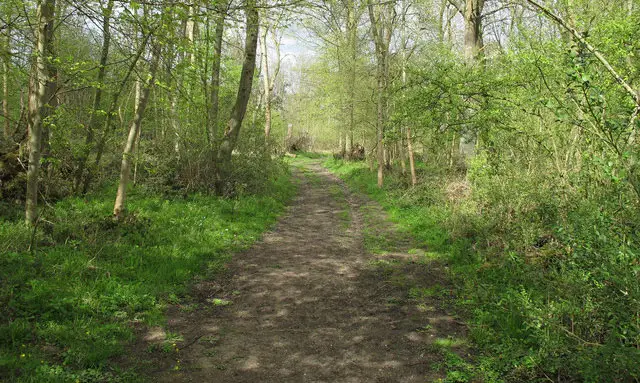 Thaxted Walks, Essex