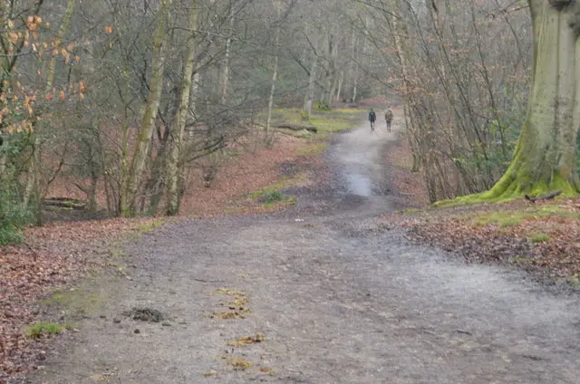 Theydon Bois Walk, Essex