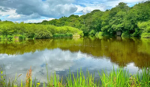 Thorndon Country Park Walks, Essex