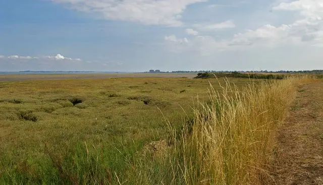 Tillingham Walks, Essex