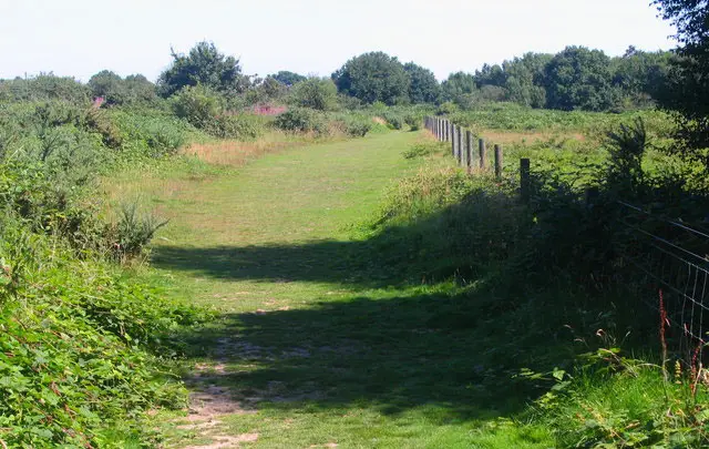 Tiptree Heath Walk, Essex
