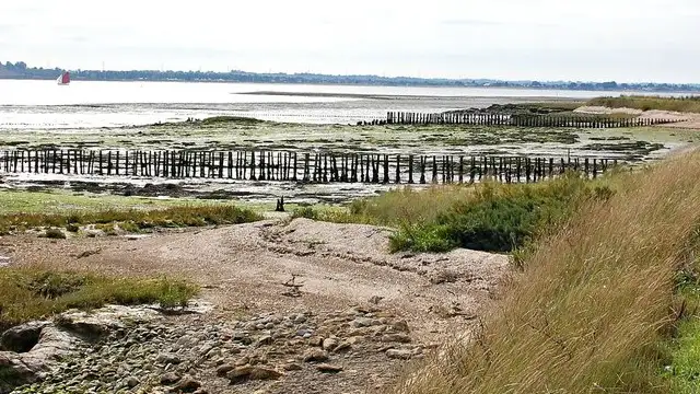 Tollesbury Walks, Essex