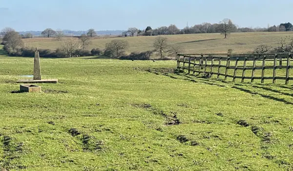 Toot Hill Walks, Essex