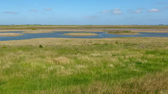 Wallasea Island Walks, Essex