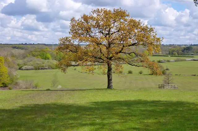 Warlies Park Walks, Essex