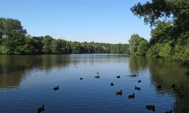 Weald Country Park Walks, Essex