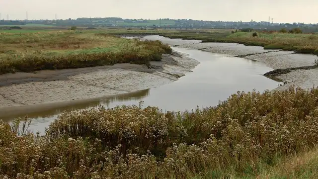 West Canvey Marsh Walks, Essex