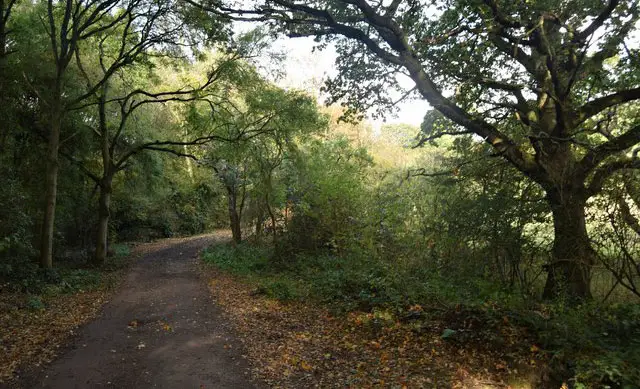 Westley Heights Walks, Essex