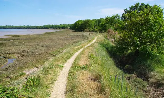 Wrabness Walks, Essex
