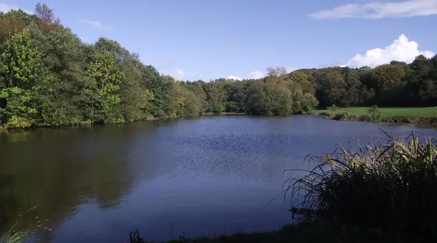 Woodland paths and a tranquil lake in Biddulph Grange Country Park, Staffordshire, with trees reflected in the water