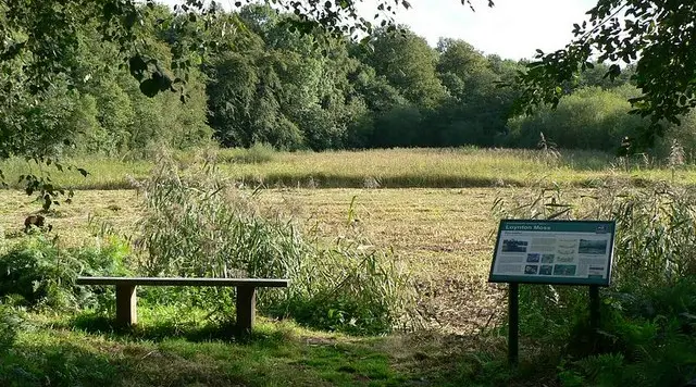 Canal towpath beside trees and wetland woodland near Loynton Moss in Staffordshire