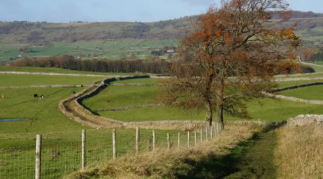 Rooftops of Bakewell with wooded hillsides and fields rising behind the town