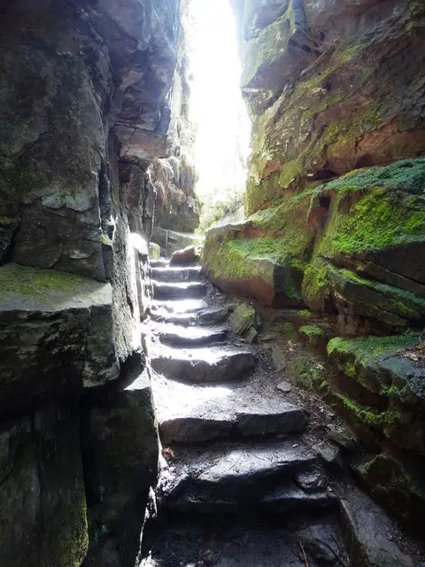 Steps out of Lud's Church