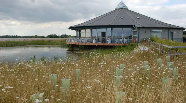 Abberton Reservoir Walks, Essex