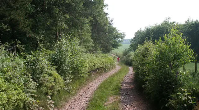 A quiet path at the edge of woodland near Loggerheads in Staffordshire, with fields and trees beyond