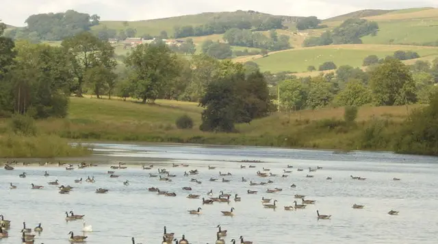 Open water of Tittesworth Reservoir with wooded banks and gentle hills beyond