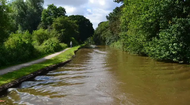 A path winding through open grassland and trees at Pooley Country Park, with water and a canal nearby