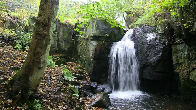 A wooded valley with a stream, stone mill ruins and old mill ponds beneath the trees at Lumsdale near Matlock