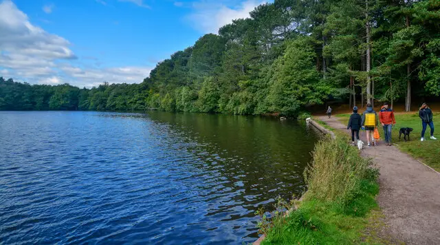 A walking path beside a pool fringed with trees and open heathland in Sutton Park
