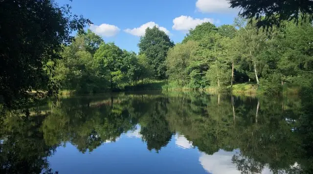 Wooded pool and footpath in the Churnet Valley at Consall Nature Park, Staffordshire