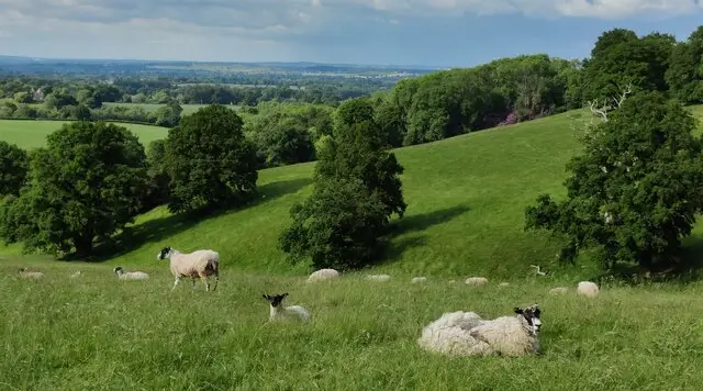 Open Staffordshire countryside with woodland and a quiet pool near Enville