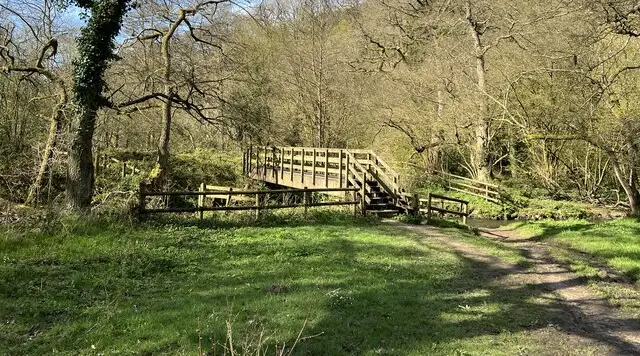Mature oak woodland on a path through the RSPB's Coombes Valley reserve in the Staffordshire Moorlands