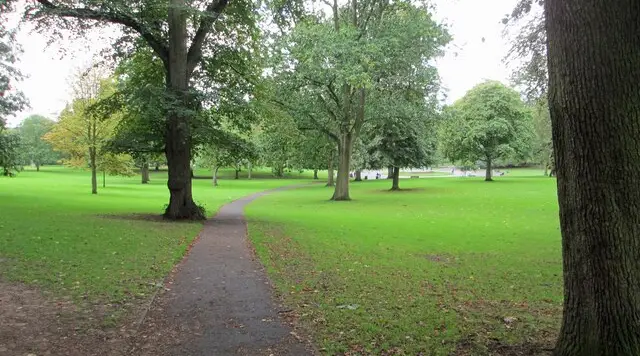 A boating lake with grass and park trees around it on a walk in Mary Stevens Park, Stourbridge