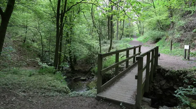 Wooded hillside above Two Dales and Darley Dale in the Derbyshire Peak District