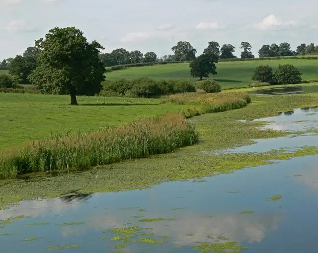 A wide stretch of reservoir water edged by grass and trees under an open sky, with a walking track running alongside the shore.