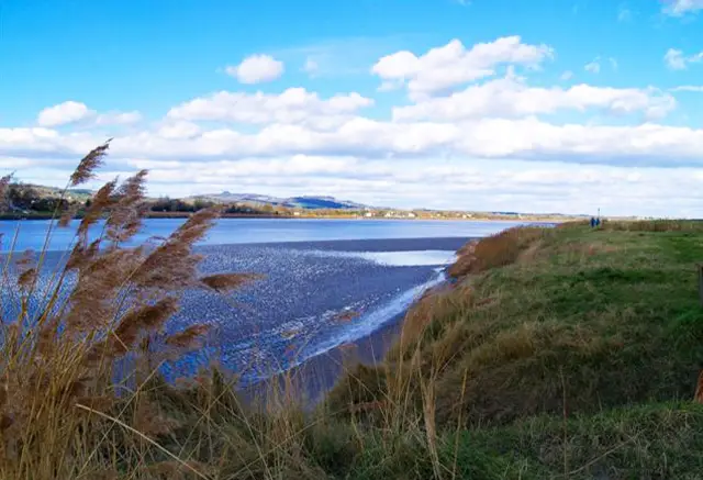 Arlingham Walks, Gloucestershire