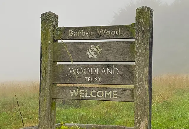 Barber Wood Walk, Gloucestershire