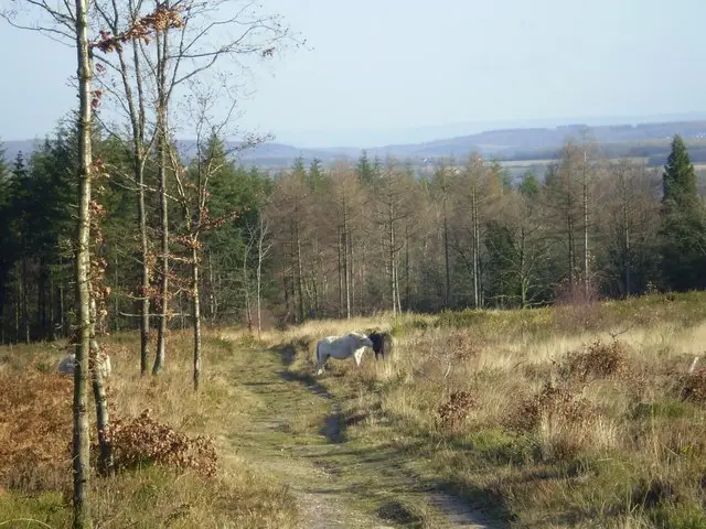 Beacon Hill Walks, Gloucestershire