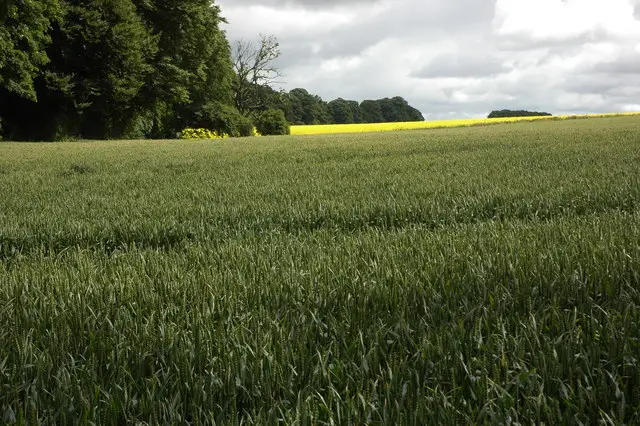 Blockley Walks, Gloucestershire