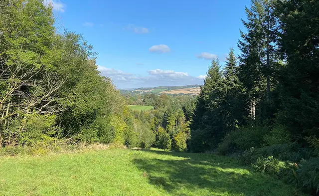 Cockleford Walk, Gloucestershire