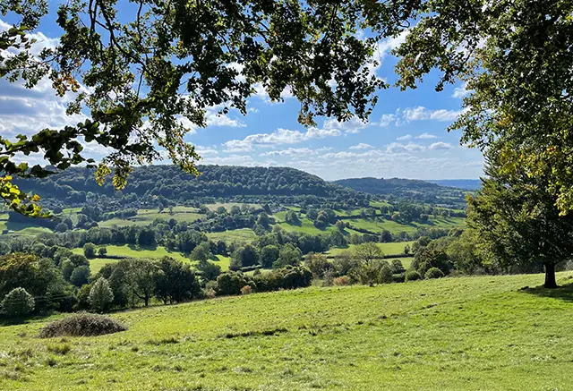 Cranham Common Walk, Gloucestershire