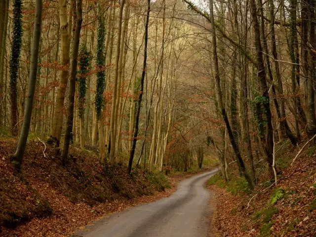 Edgeworth Walk, Gloucestershire