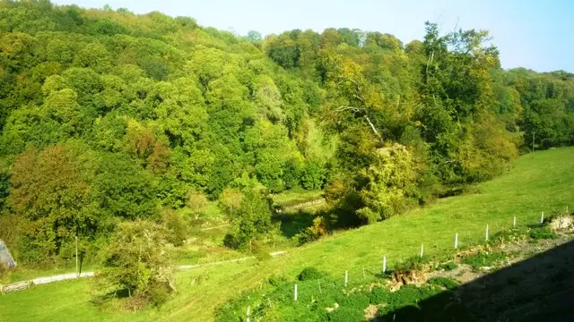 Frampton Mansell walk, Gloucestershire