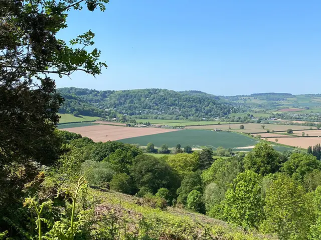 Goodrich Walk, Gloucestershire