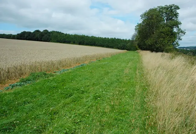 Longborough Walk, Gloucestershire