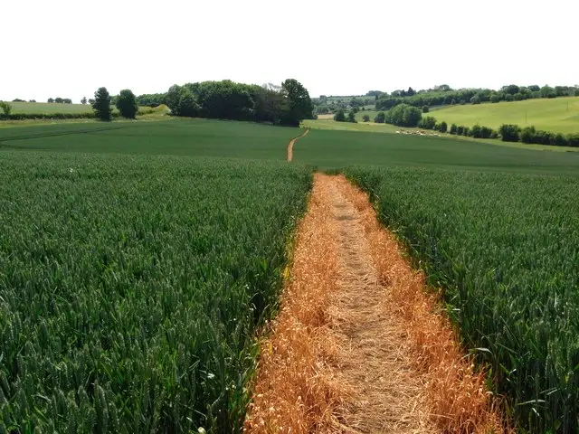 Northleach Walk, Gloucestershire