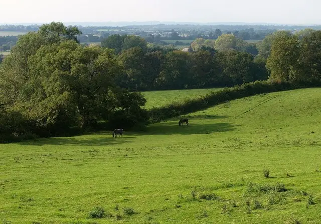 Old Sodbury Walk, Gloucestershire