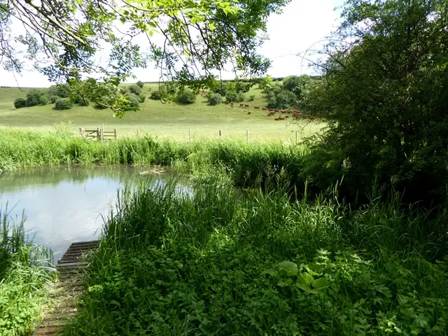 Quenington Walk, Gloucestershire
