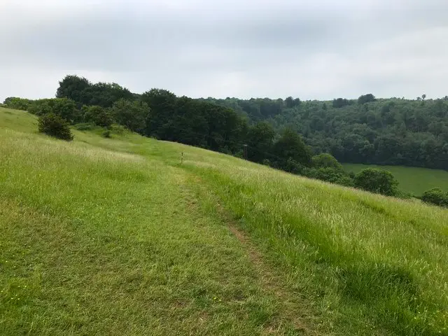 Selsley Common Walks, Gloucestershire