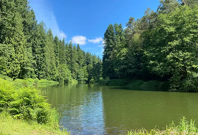 Soudley Ponds Walks, Gloucestershire