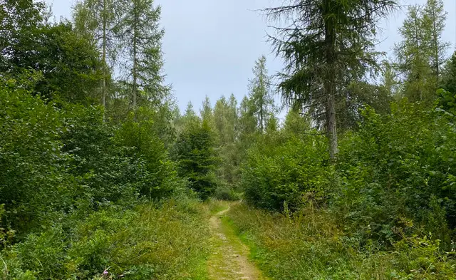 Tarlton Walk, Gloucestershire