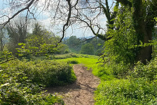 The Heavens Walk, Gloucestershire