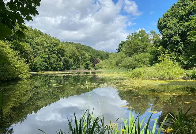 Toadsmoor Valley Walks, Gloucestershire
