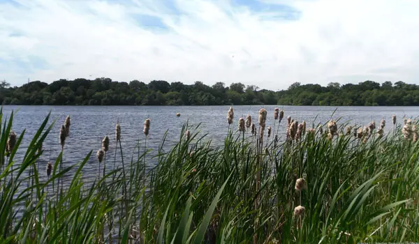 Aldenham Country Park Walk, Hertfordshire